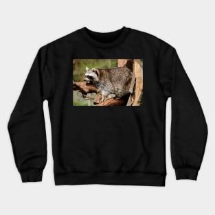 Mr Raccoon Crewneck Sweatshirt